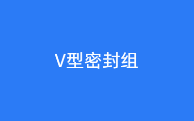 V型密封